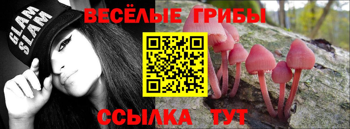 Псилоцибиновые грибы GOLDEN TEACHER  Вход с VPN  Туапсе  Псилоцибиновые грибы Cubensis 