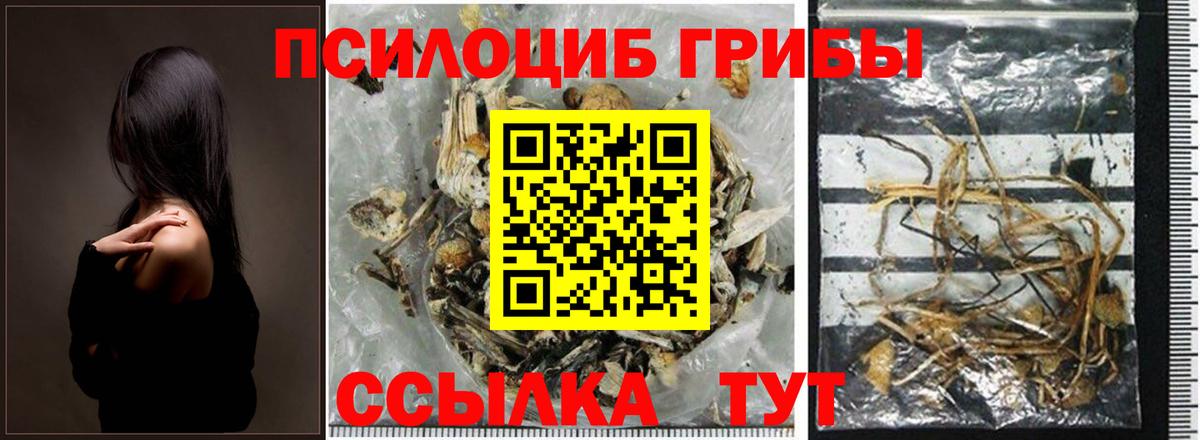 Галлюциногенные грибы GOLDEN TEACHER Туапсе
